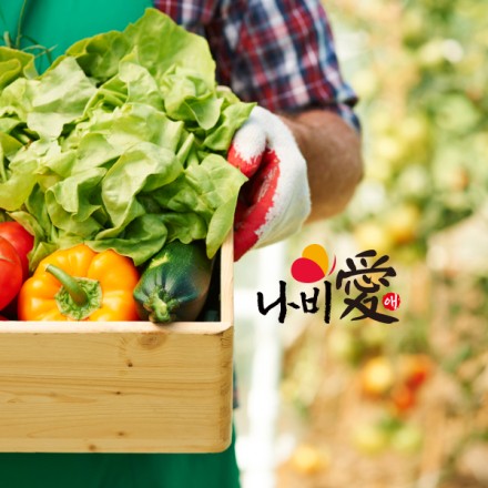 함평농협 브랜드 '나비애' CI